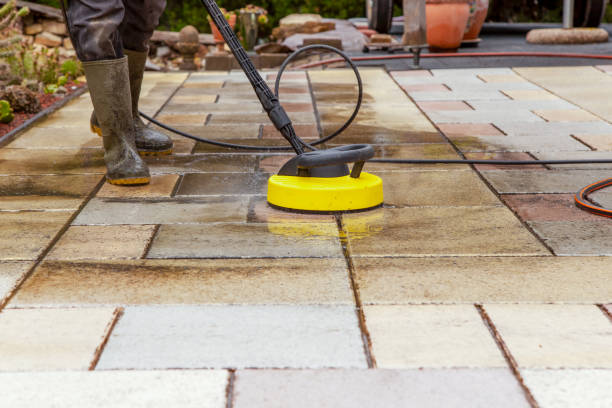 Best Sidewalk and Walkway Cleaning  in North Alamo, TX