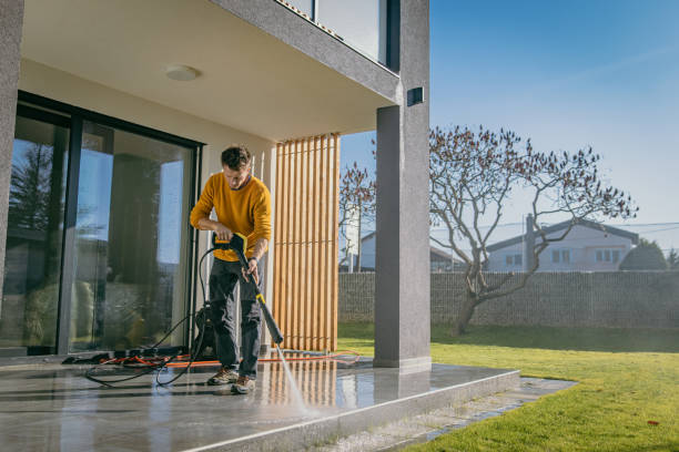 Best Pre-Holiday Cleaning  in North Alamo, TX